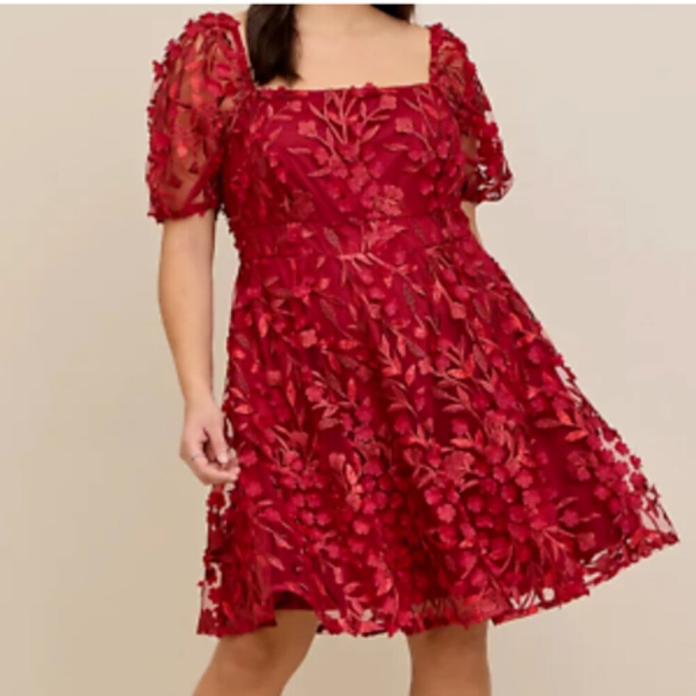 Red Goth Fairy 3D Floral Mesh Puff Sleeve Skater Dress 14W
